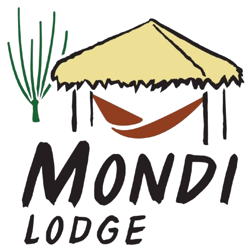 Logo 2 removebg preview