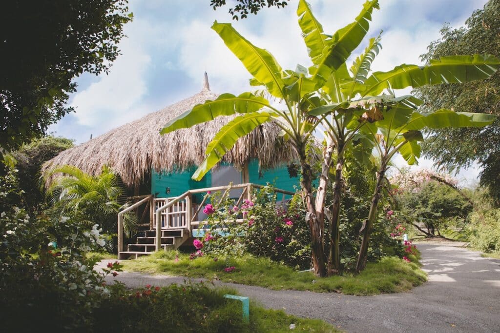A wooden palapa under the palms at Mondi Lodge